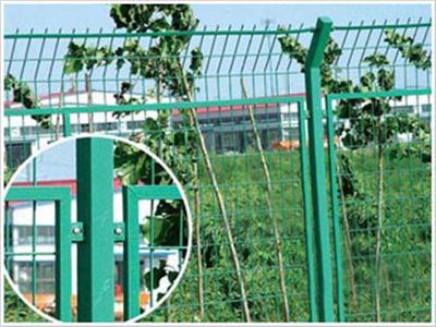 小區護欄網批發、小區護欄網生產廠家/歐齊網業(圖)、小區護欄網供應圖片_高清圖_細節圖-安平縣歐齊絲網制品 -