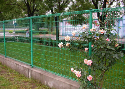 供應(yīng)低價(jià) 價(jià)格合理的雙圈護(hù)欄網(wǎng)[廠家直銷]圖片|供應(yīng)低價(jià) 價(jià)格合理的雙圈護(hù)欄網(wǎng)[廠家直銷]產(chǎn)品圖片由安平縣特蘭金屬絲網(wǎng)制造公司生產(chǎn)提供-