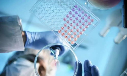 人體為什么需要補充干細胞？——探索干細胞技術的開發與應用